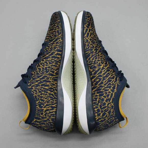 Nike Men's 9 Jordan Trainer 1 Low Michigan Wolverines Shoes Sneakers 845403-420 - Picture 12 of 12